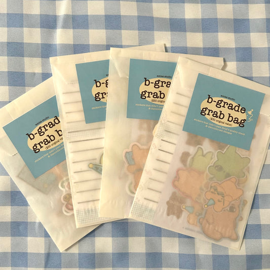 B-Grade Oopsies Bags (Stationary)